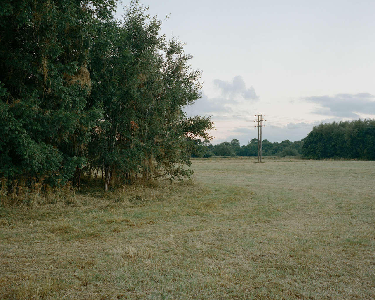 Nick Halstead / Photography